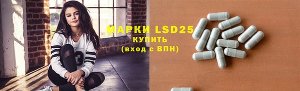 прущие крисы Кулебаки