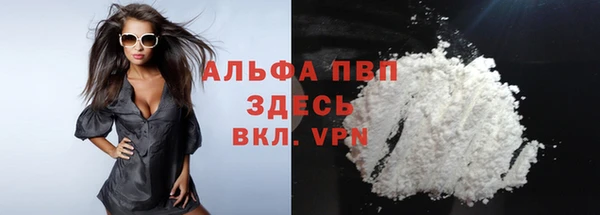 метадон Богданович