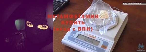 метадон Богданович