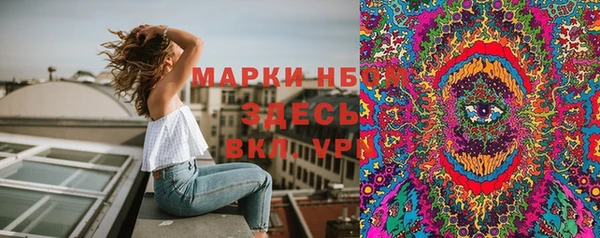 метадон Богданович