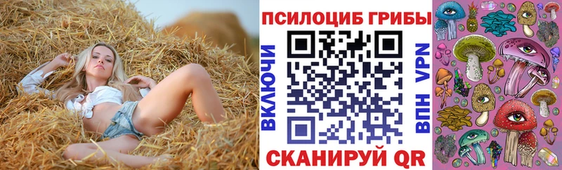 Галлюциногенные грибы Cubensis  Мензелинск 